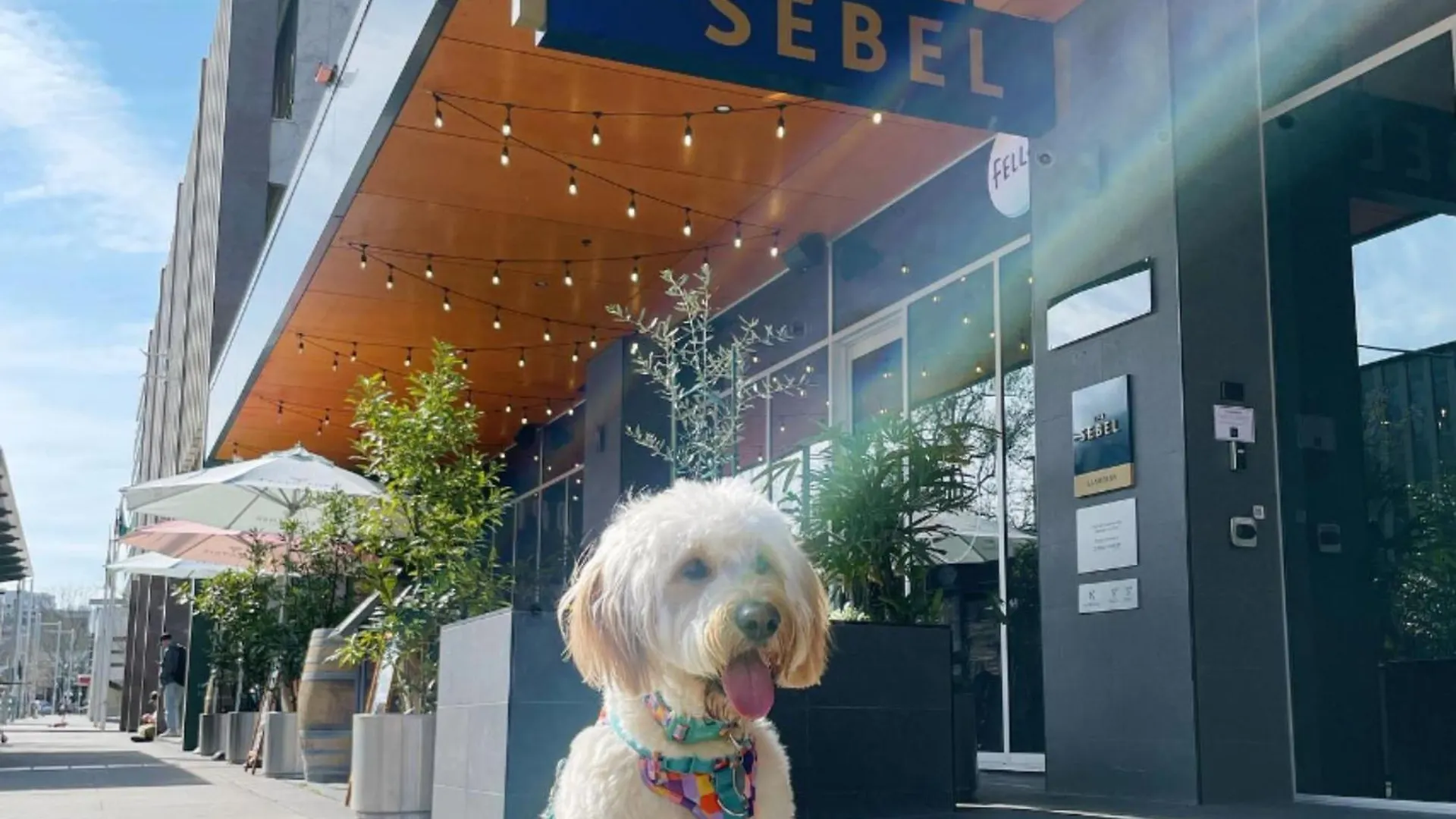 堪培拉希维科诗铂酒店 酒店